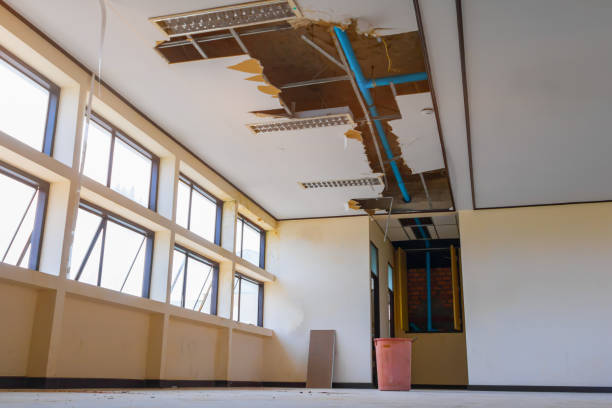 Best 24/7 water damage repair  in Homestead, FL