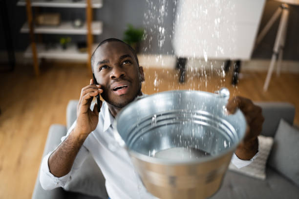 Best Ceiling water damage repair  in Homestead, FL