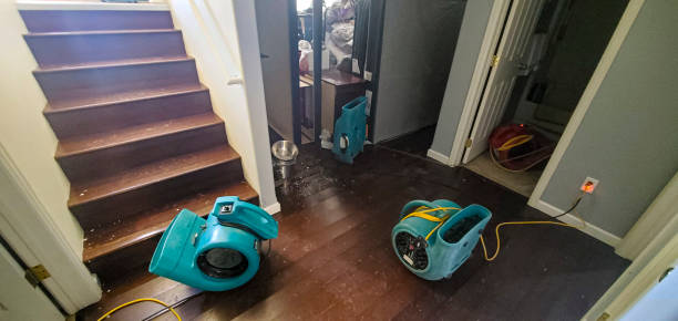 Best Residential water damage restoration  in Homestead, FL