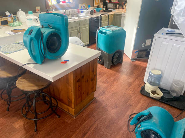 Best Water damage restoration near me  in Homestead, FL