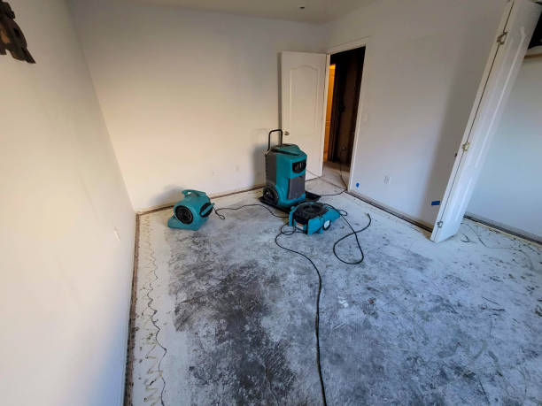 Best Professional water damage repair  in Homestead, FL
