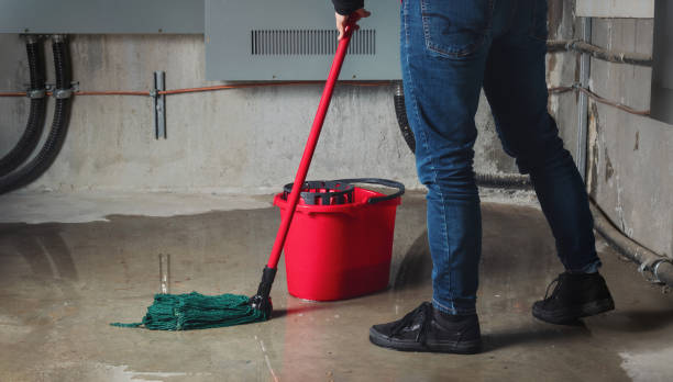 Best Water damage restoration services  in Homestead, FL