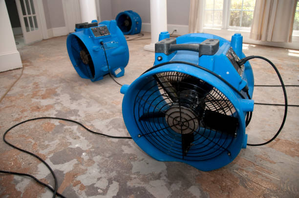 Best Commercial water damage restoration  in Homestead, FL