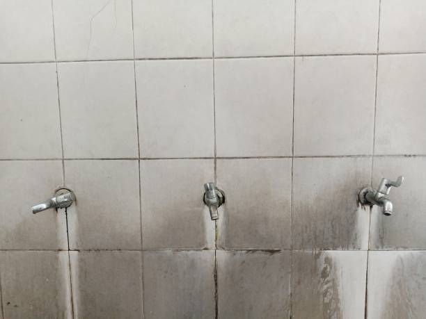 Best Flood damage cleanup  in Homestead, FL