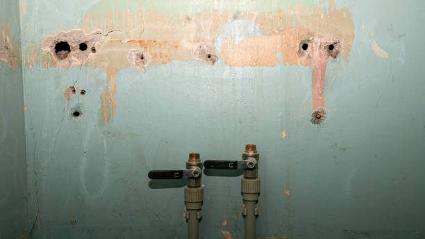 Best Water damage restoration insurance claims  in Homestead, FL