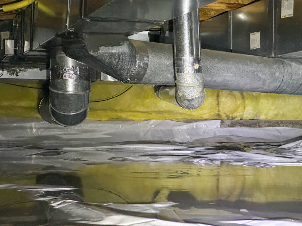 Best Sewage cleanup and water damage restoration  in Homestead, FL