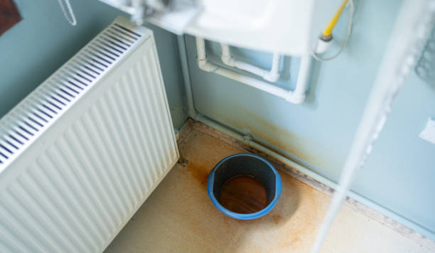 Best Ceiling water damage repair  in Homestead, FL