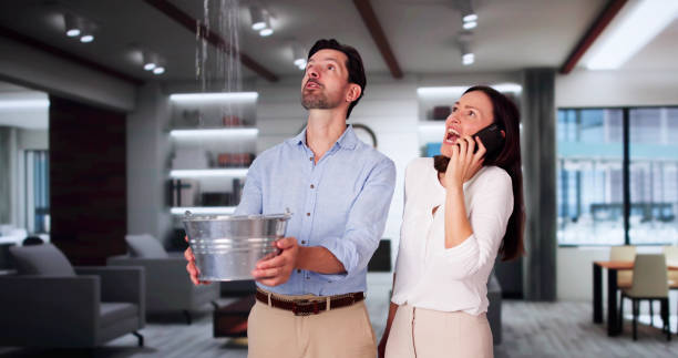  Homestead, FL Water damage restoration Pros